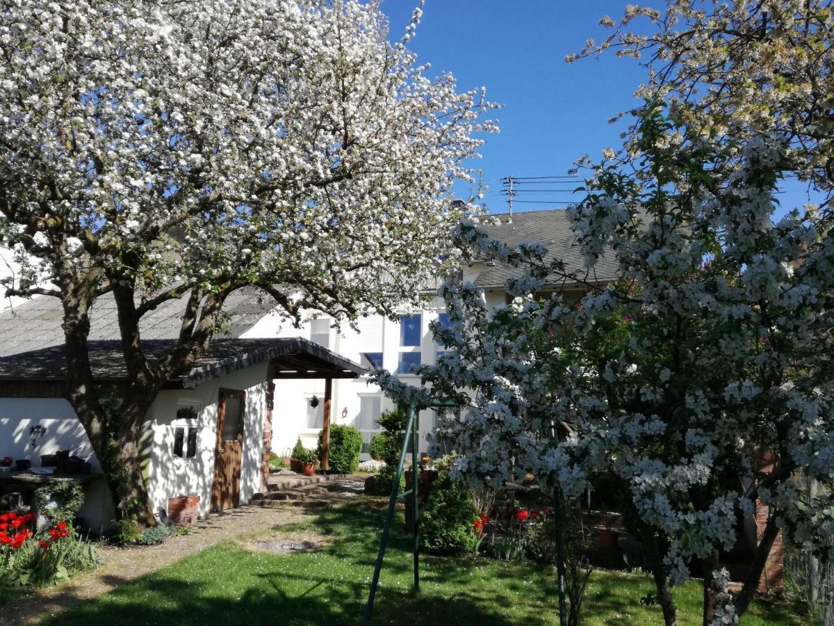 Apartmán Fewo Thul Plein Exteriér fotografie